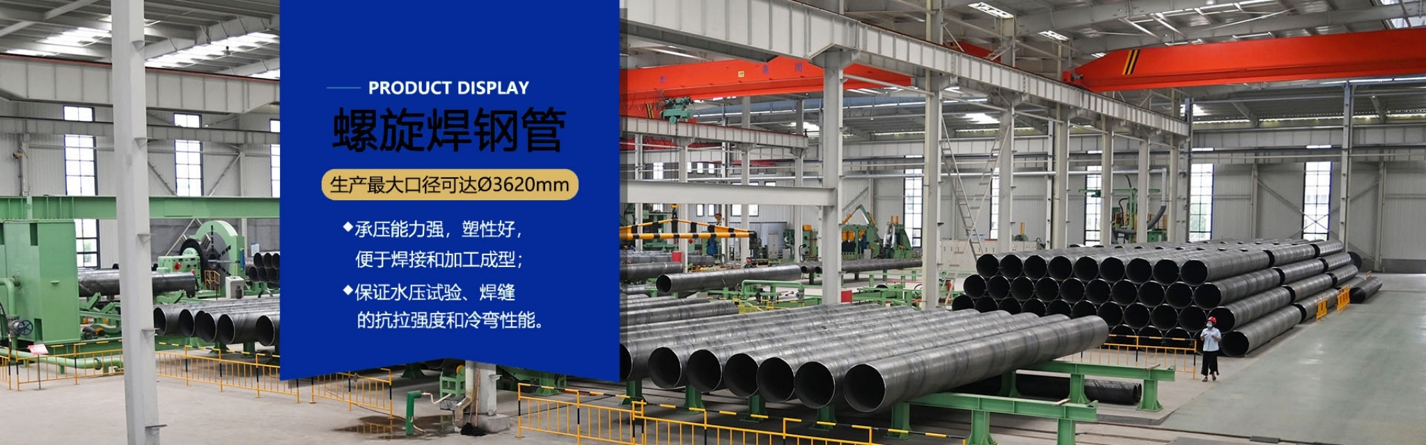 �羺���¹���